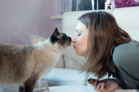 Wenn die Katze markiert: Unsauberkeit kann vielfältige Ursachen haben