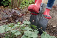 Solides Werkzeug erleichtert die Gartenarbeit