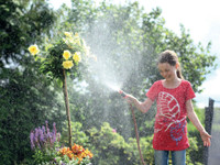 Rund um den Garten: Regenwasser optimal nutzen